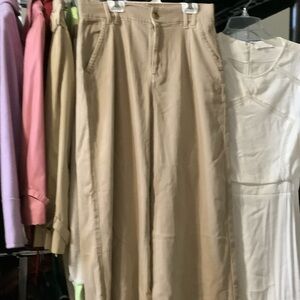 American Eagle Outfitters Beige‎ Stretch Pants